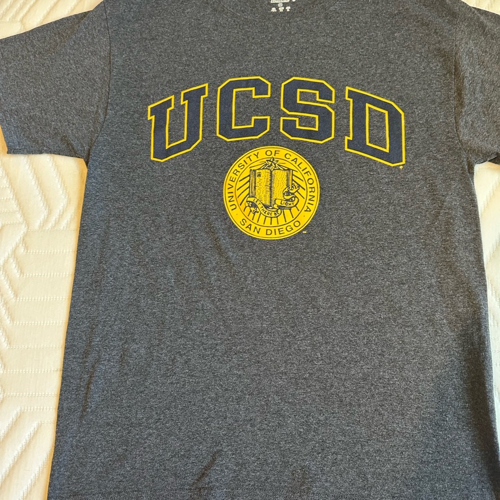 Vintage Champion Grey Tee University of California San Diego